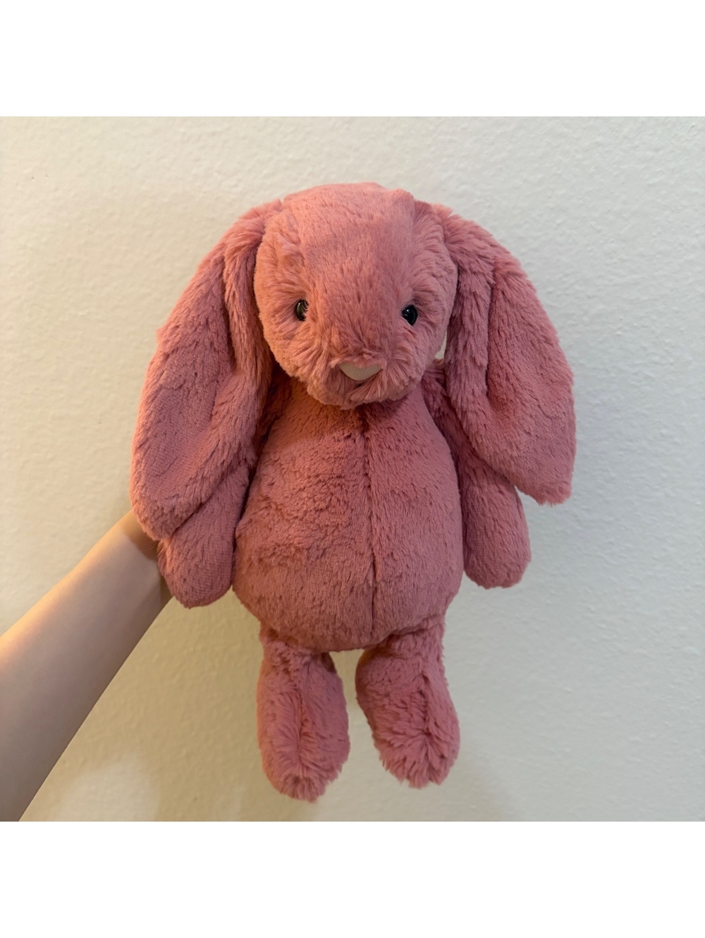 Jellycat Medium Bashful Sorrel Bunny - BNWT